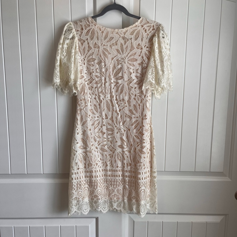 Vici Lace Mini Dress in Cream